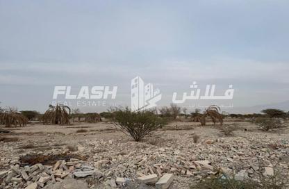 Land - Studio for sale in Seih Al Uraibi - Ras Al Khaimah Land - Studio for sale in Seih Al Uraibi - Ras Al Khaimah