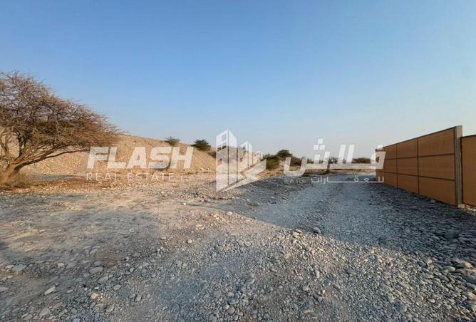 142368868 - Property Image 3