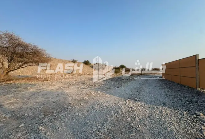 142368868 - صورة العقار 3