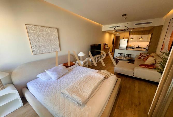 16181186 - Property Image 3