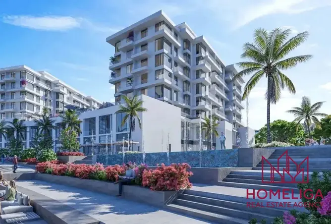 154636264 - Property Image 3