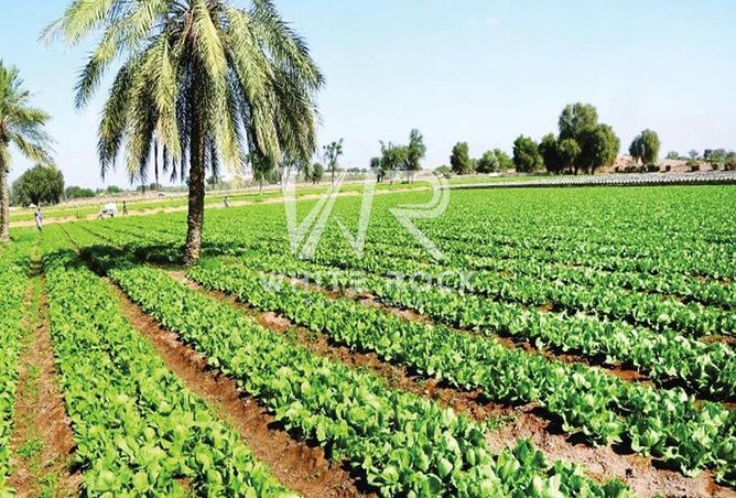 16310545 - Property Image 3