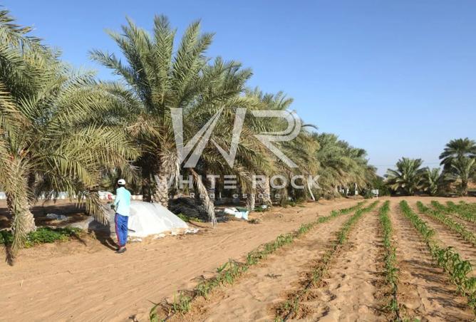 16310545 - Property Image 2