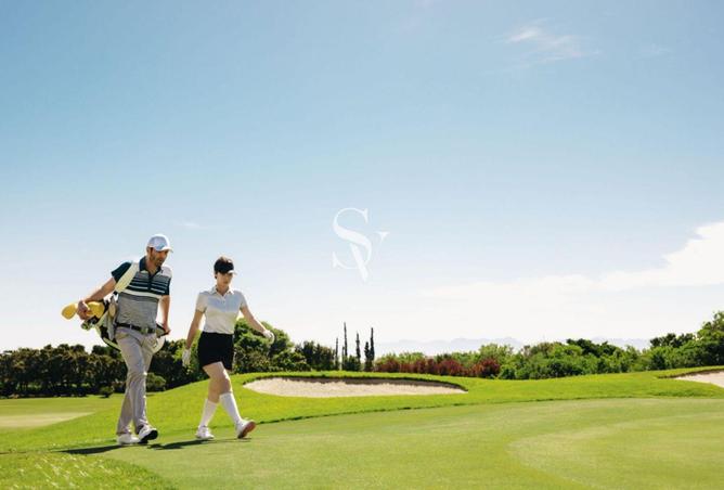 61675007 - Property Image 3