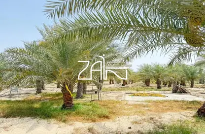 Land - Studio for sale in Al Khatim - Abu Dhabi