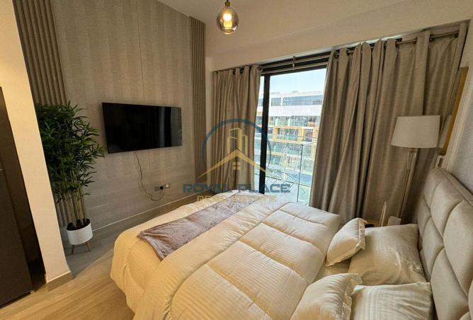 16147892 - Property Image 3