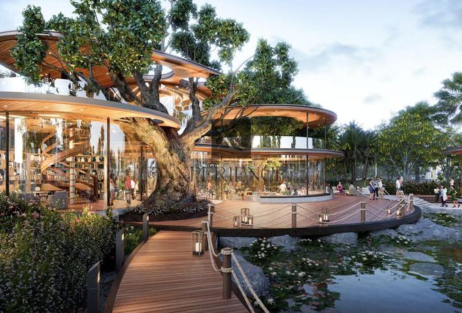 16290753 - Property Image 3