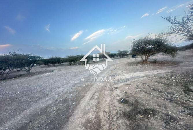 135140307 - Property Image 2