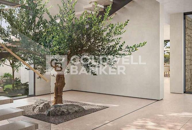 16145182 - Property Image 3