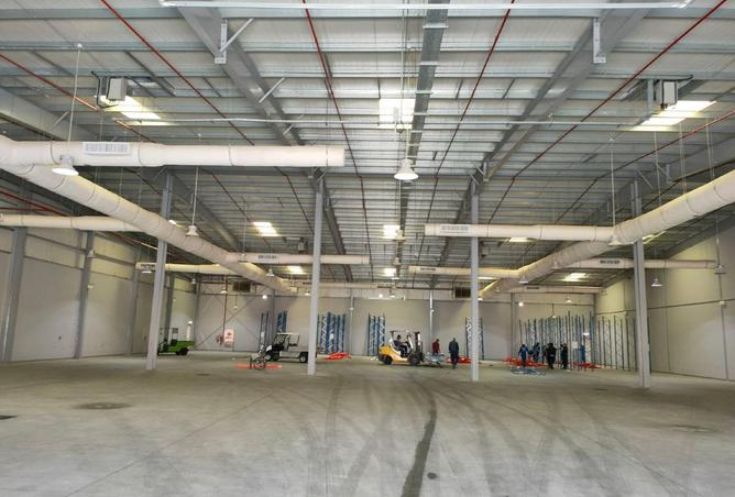 53599870 - صورة العقار 2