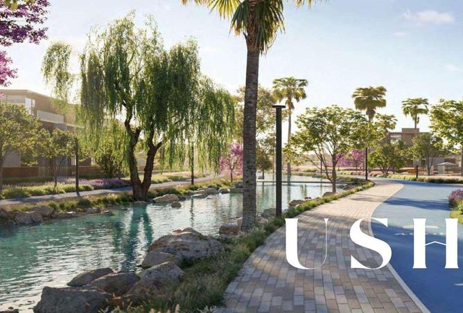 16049351 - Property Image 3