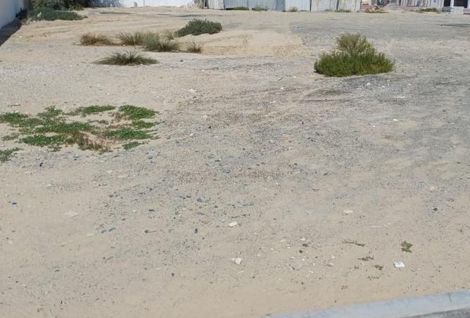 16331949 - Property Image 3