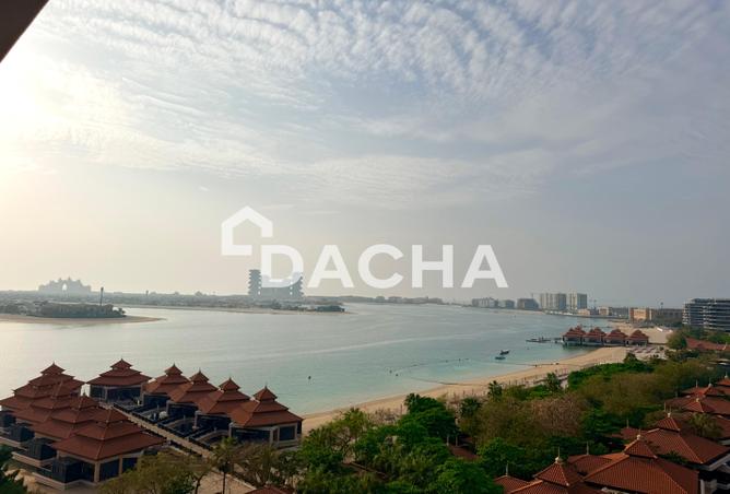 67824176 - صورة العقار 3