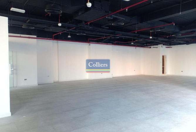 53572466 - Property Image 3