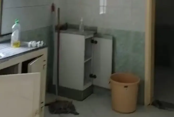 164573120 - Property Image 3