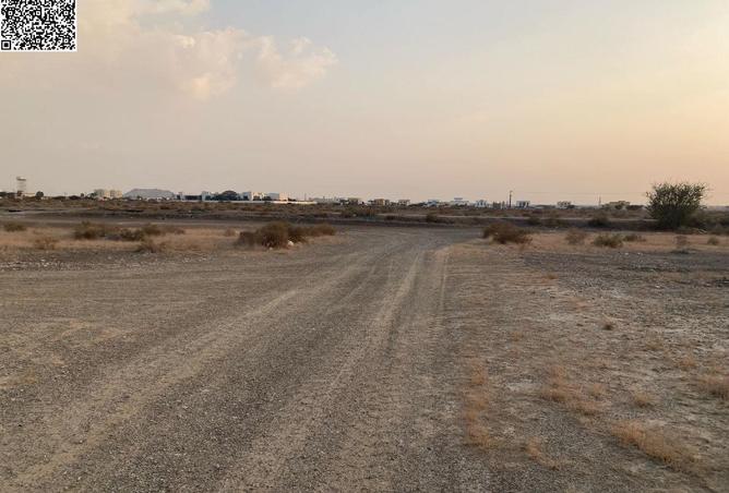 96939596 - صورة العقار 3