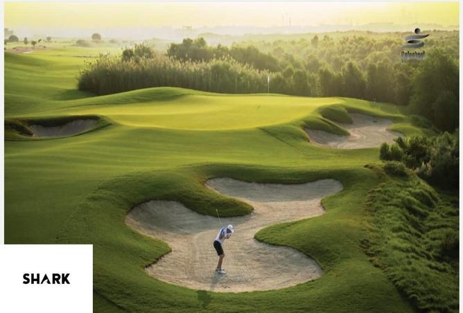 65194863 - صورة العقار 2