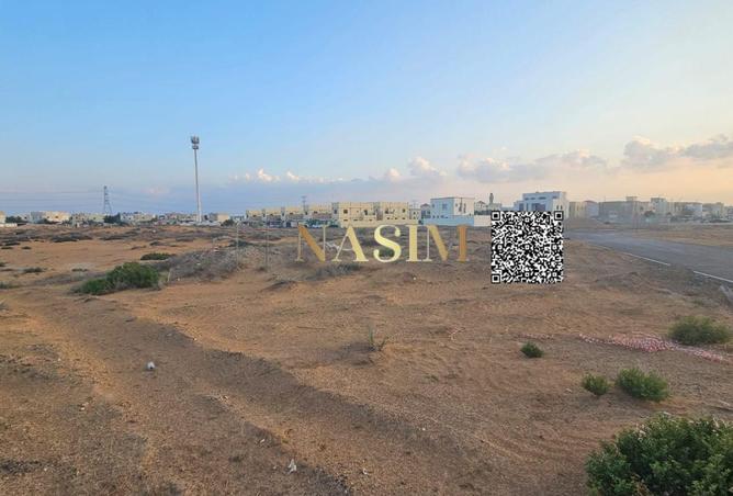 16216973 - Property Image 2