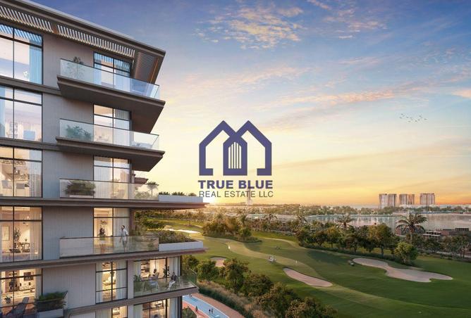 81944594 - Property Image 3