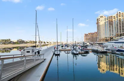 شقة - 1 حمام للايجار في بالم فيوز شرق - بالم فيوز - نخلة جميرا - دبي