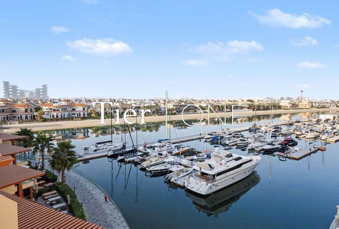 16313301 - صورة العقار 2