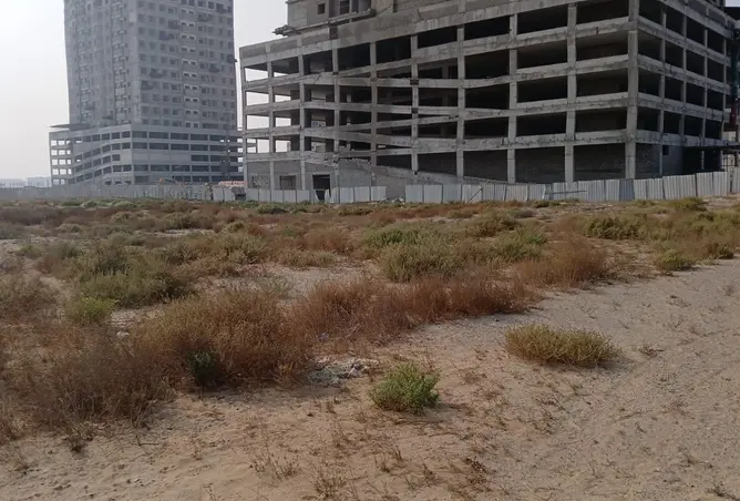 163697750 - Property Image 3