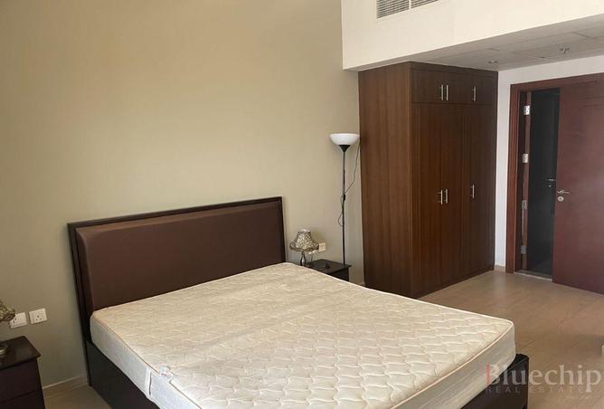 16219776 - Property Image 3