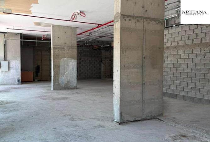 116828592 - Property Image 3