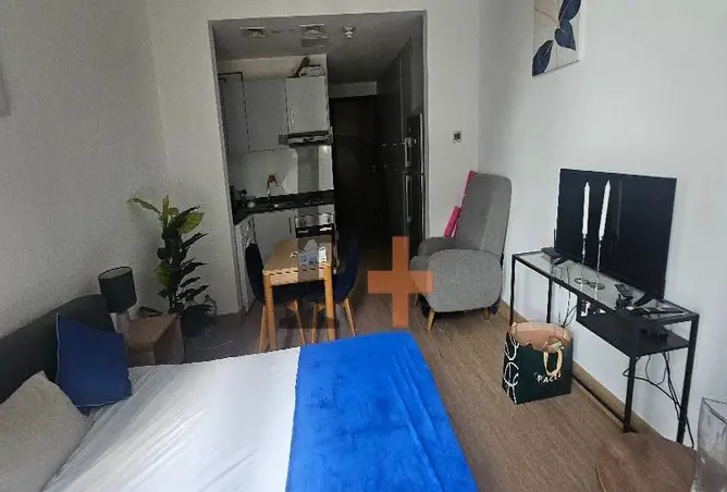 146458312 - Property Image 2