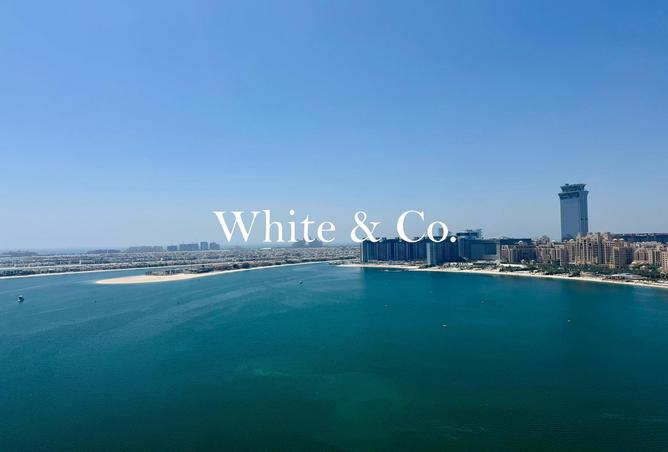 103678773 - Property Image 2