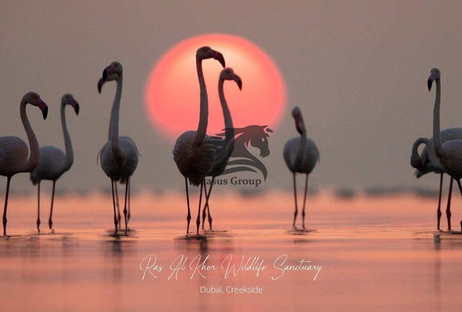 76966554 - Property Image 2