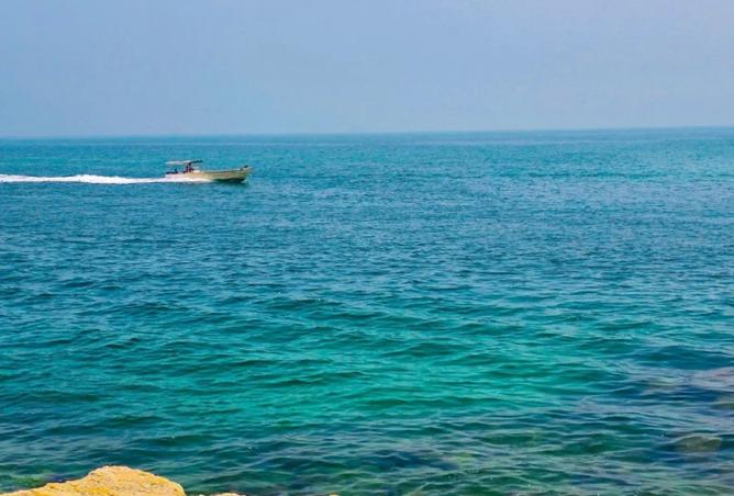 137428826 - صورة العقار 3