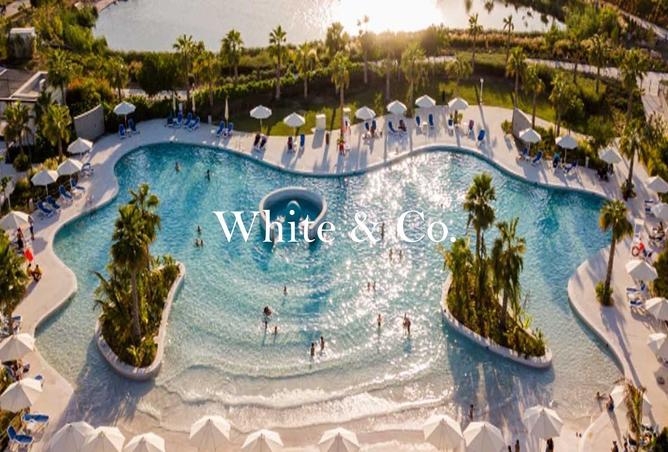 62062599 - Property Image 3