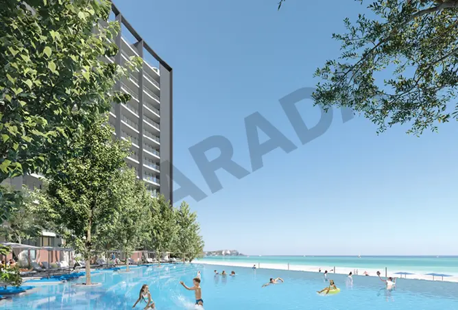 165595579 - Property Image 3