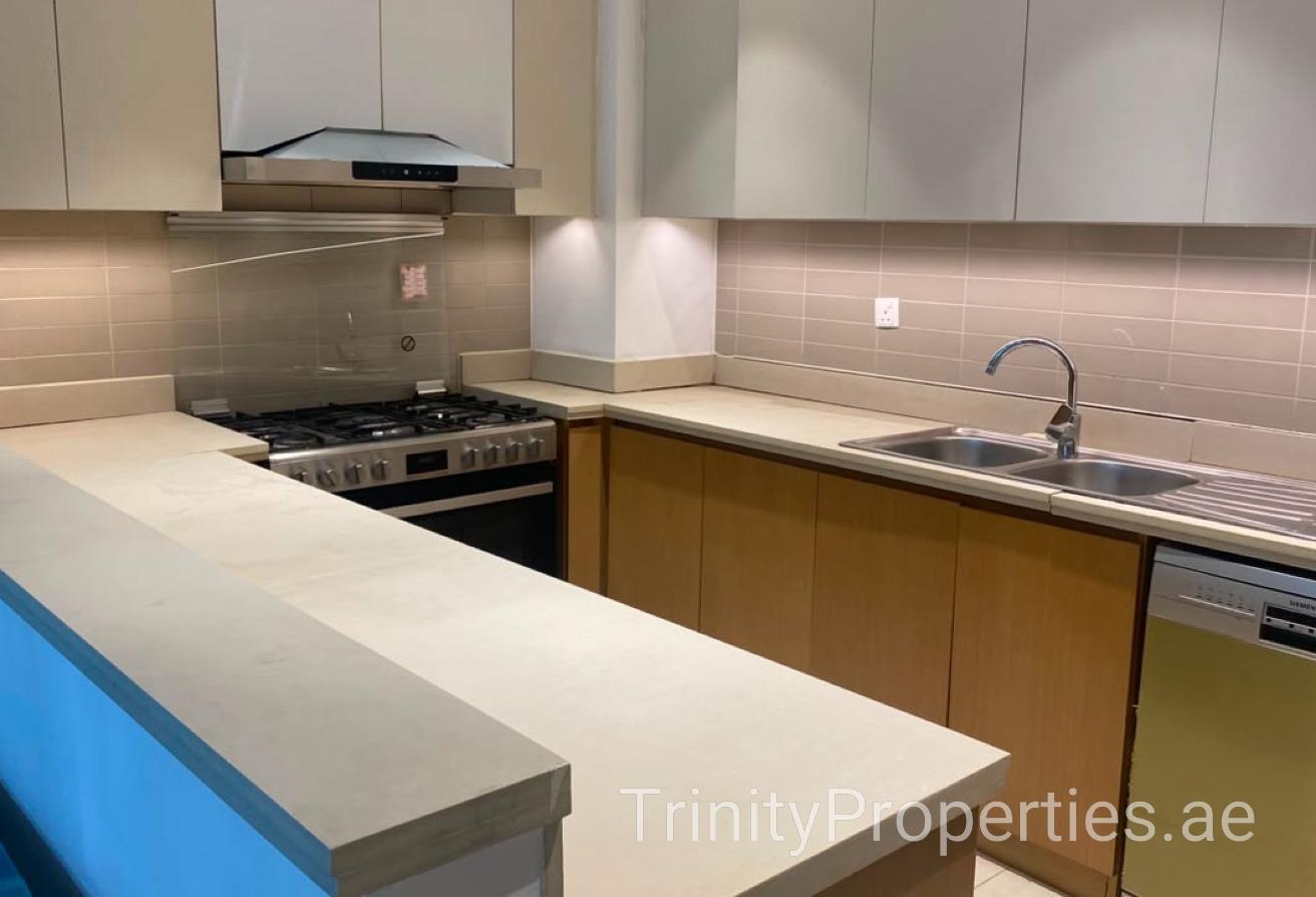 Furnished | Direct Promenade Access | Terrace photo 14