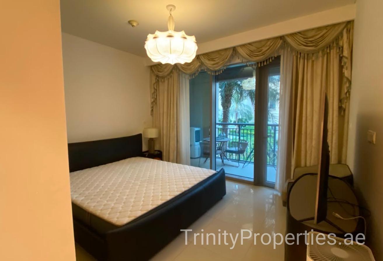 Furnished | Direct Promenade Access | Terrace photo 13