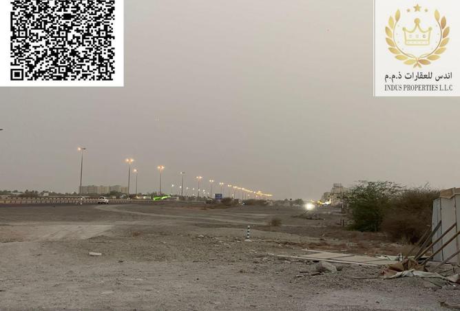 16234584 - Property Image 3