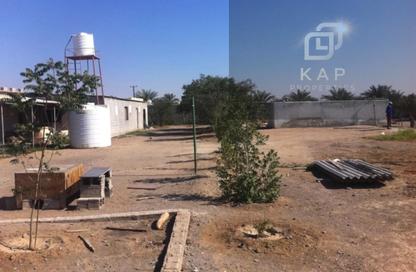 Farm - Studio for rent in Khatt - Ras Al Khaimah