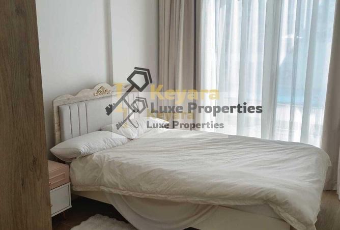 120666211 - Property Image 3