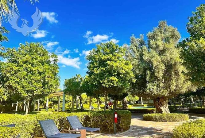 67821553 - صورة العقار 3