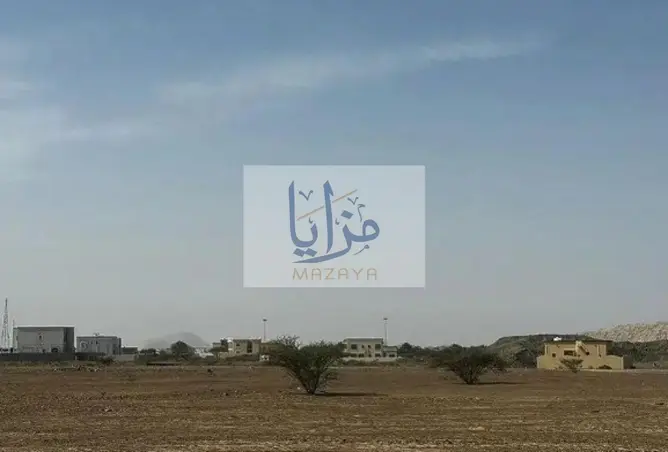 128812780 - صورة العقار 3