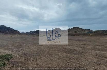Farm - Studio for rent in Umm Dir - Umm Al Quwain