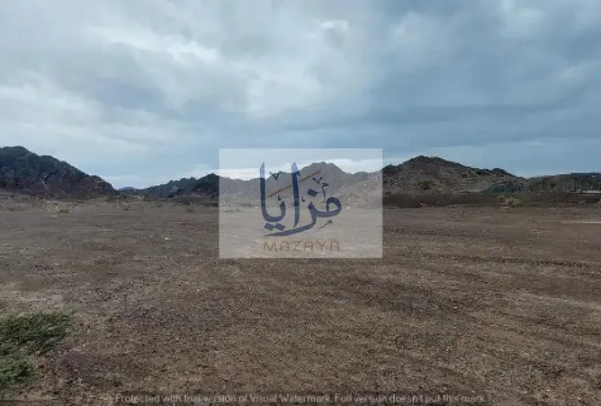 128812780 - صورة العقار 2