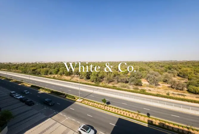 91364167 - Property Image 3