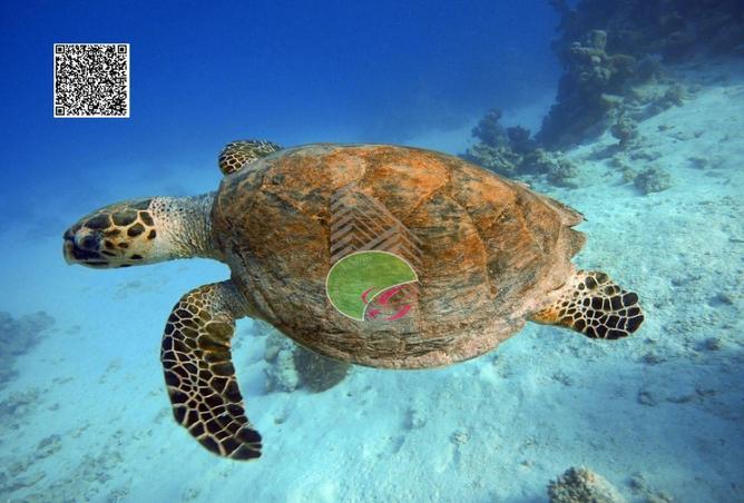 2PKryea6bSK - Property Image 2