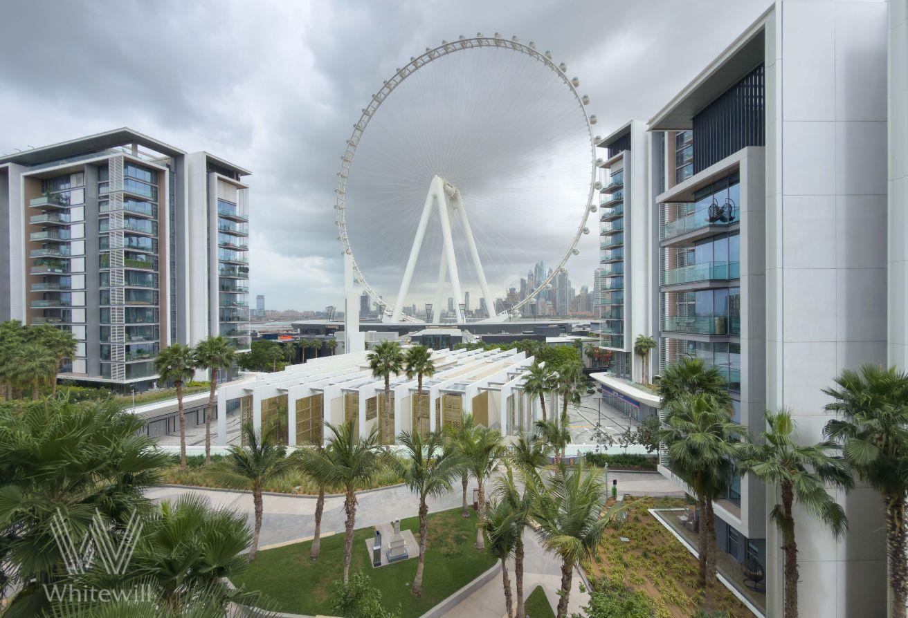 Island Living|Full Ain Dubai & Sea Views| Upgraded photo 17