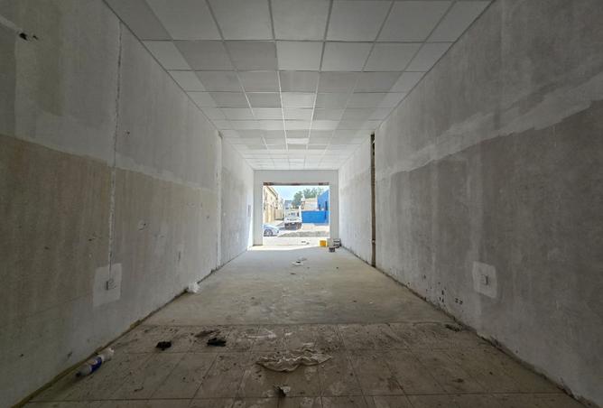 115941635 - Property Image 2