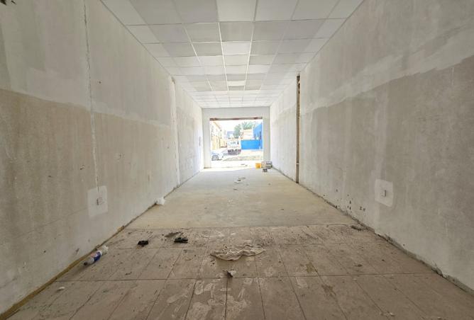 115941635 - Property Image 3