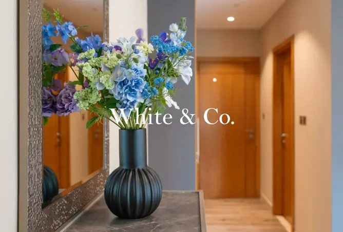152383902 - Property Image 3