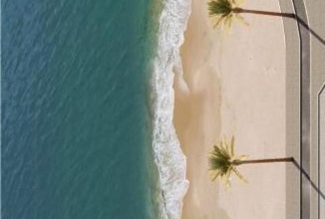 16177935 - صورة العقار 3